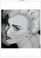 /album/esquemas-no-estan-completos-como-ejemplos-/madonna-0-png/